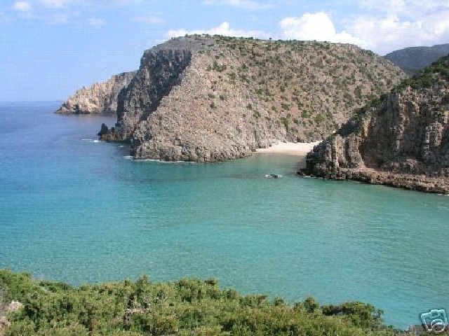 Cala Domestica