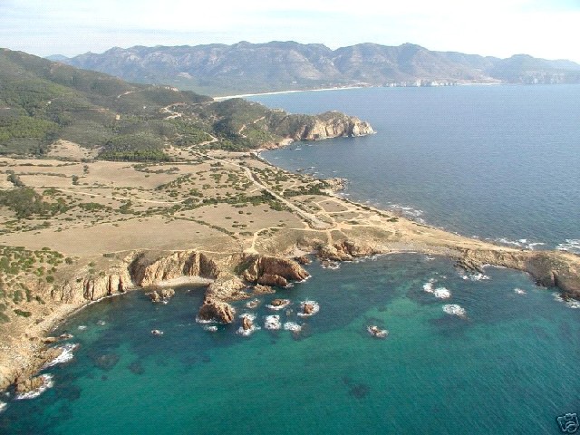 Capo Pecora